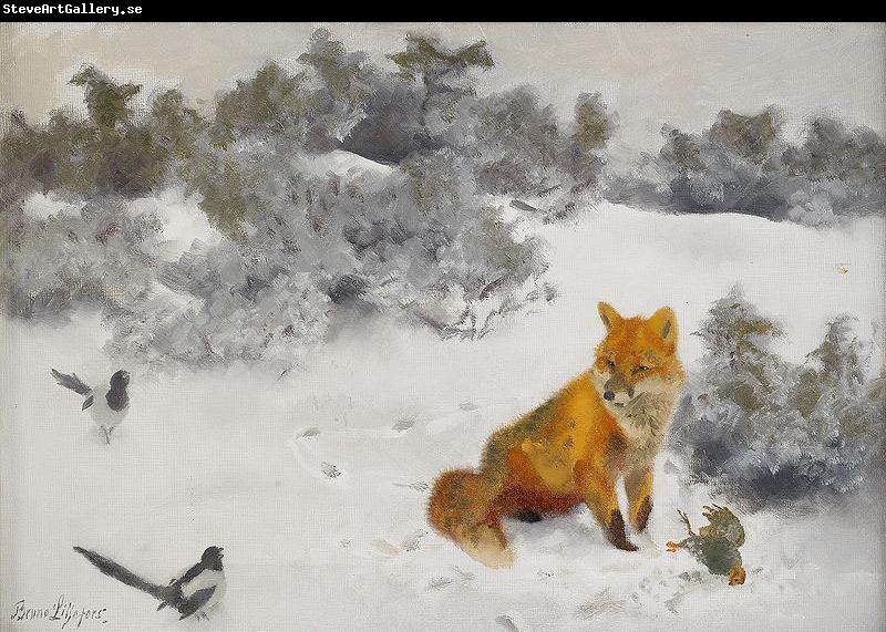 bruno liljefors Fox in Winter Landscape